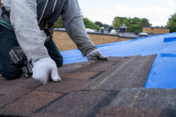 Best Roof Waterproofing Services  in Village Of The Branch, NY