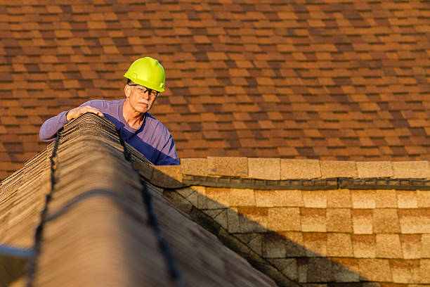 Best Roof Gutter Cleaning  in Village Of The Branch, NY