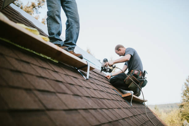 Best Roof Restoration Services  in Village Of The Branch, NY